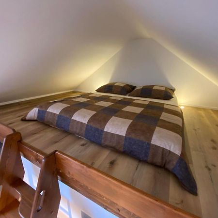 Apartman Danuse Česká Lípa 外观 照片