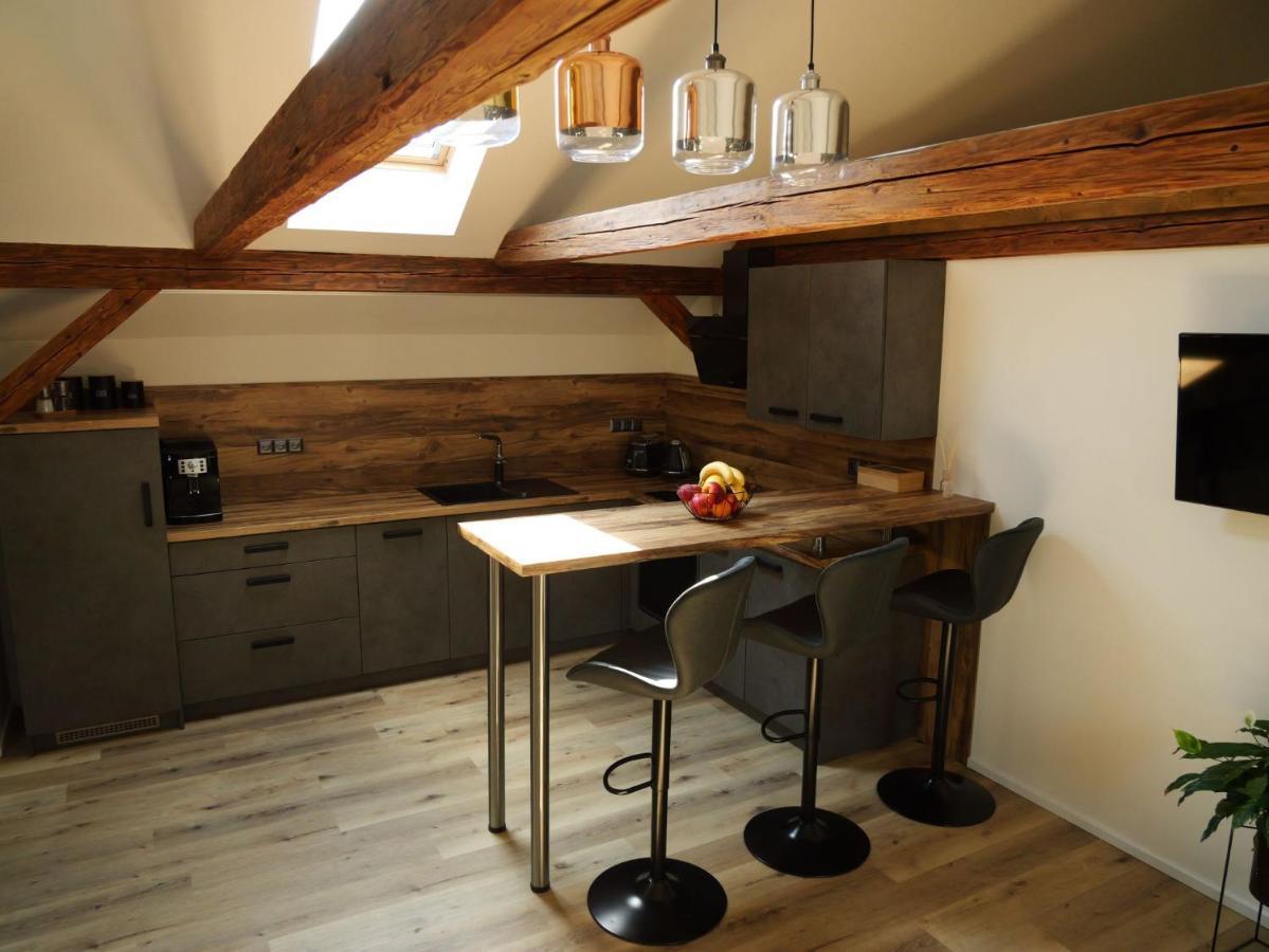Apartman Danuse Česká Lípa 外观 照片
