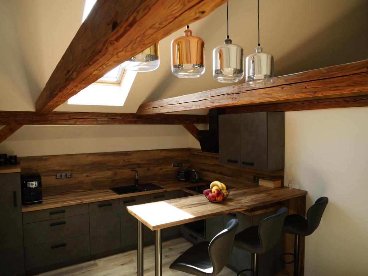 Apartman Danuse Česká Lípa 外观 照片