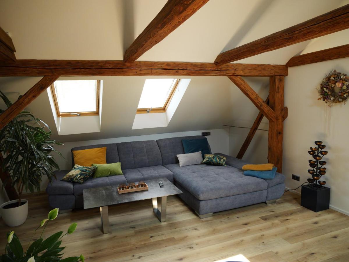 Apartman Danuse Česká Lípa 外观 照片