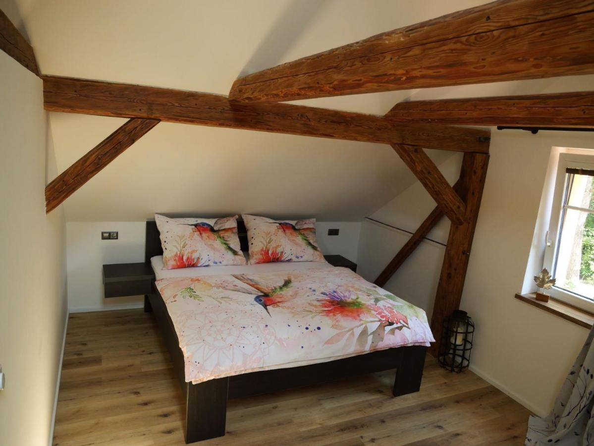 Apartman Danuse Česká Lípa 外观 照片