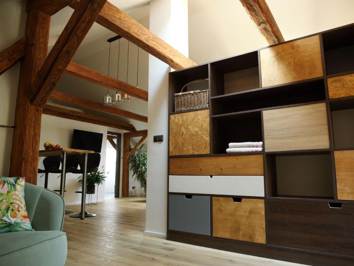Apartman Danuse Česká Lípa 外观 照片