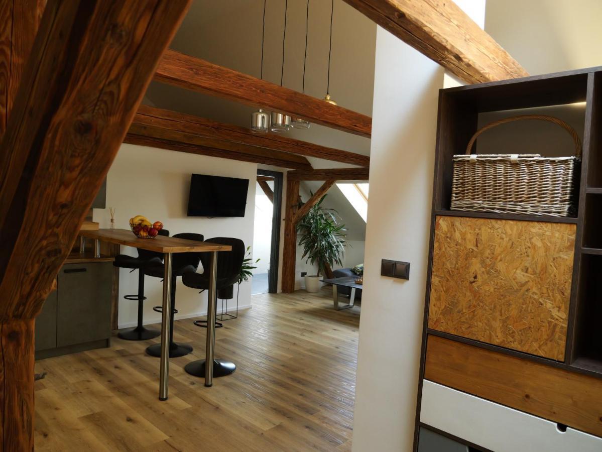 Apartman Danuse Česká Lípa 外观 照片