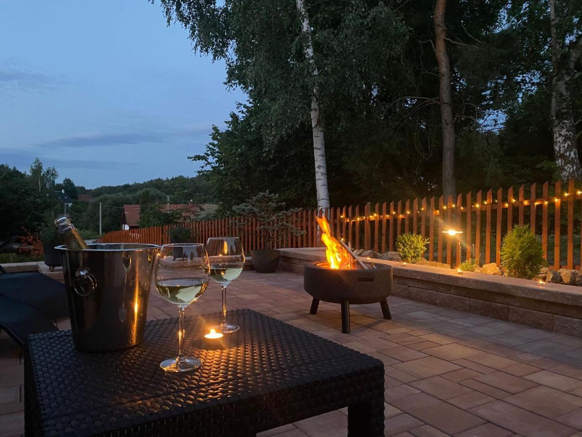 Apartman Danuse Česká Lípa 外观 照片