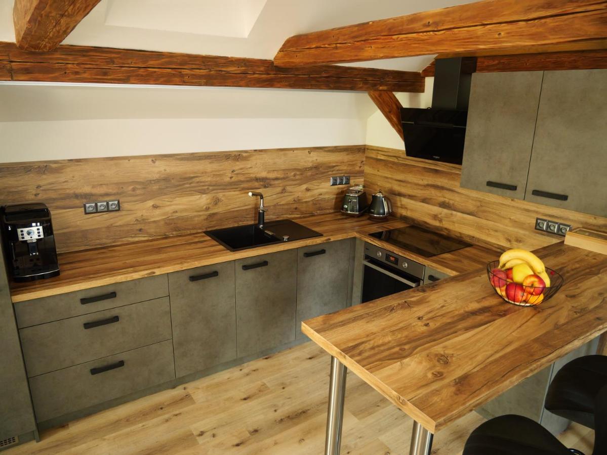 Apartman Danuse Česká Lípa 外观 照片